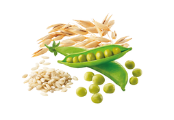 CON RISO INTEGRALE, AVENA E PISELLI