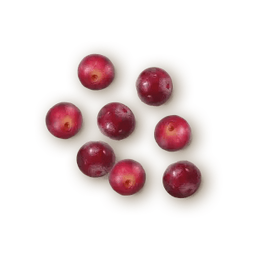 AR&Aacute;NDANOS ROJOS