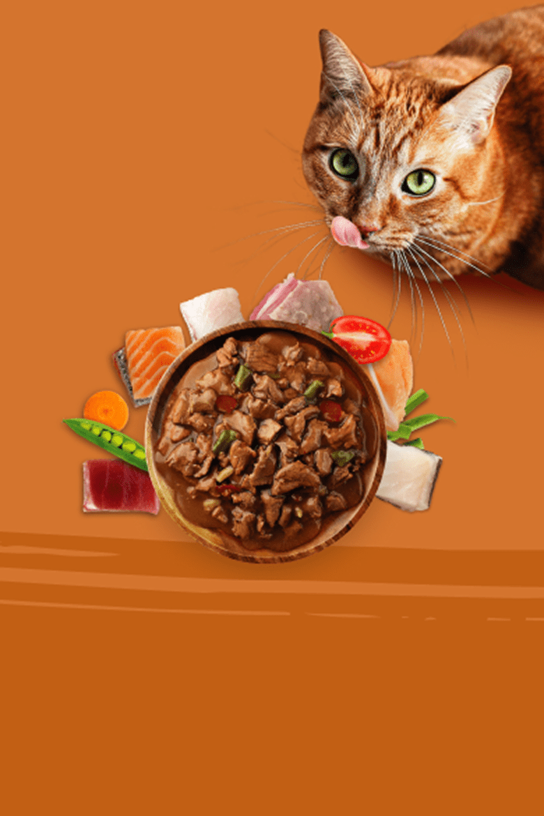 Comida húmeda gato Hero desktop.png