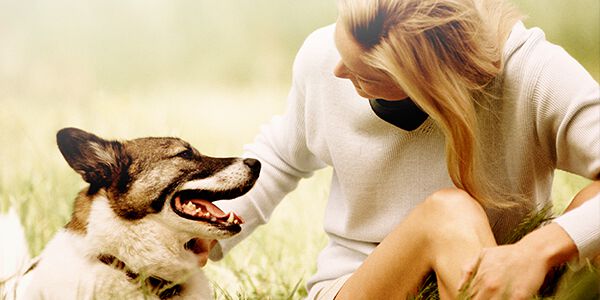 OS C&Atilde;ES COMPREENDEM-NOS?