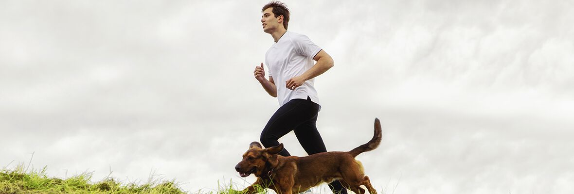 A SOCIABILIDADE DOS C&Atilde;ES