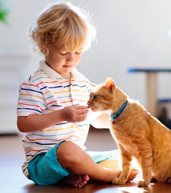 Beb&eacute;s y gatos: c&oacute;mo conseguir una convivencia beneficiosa