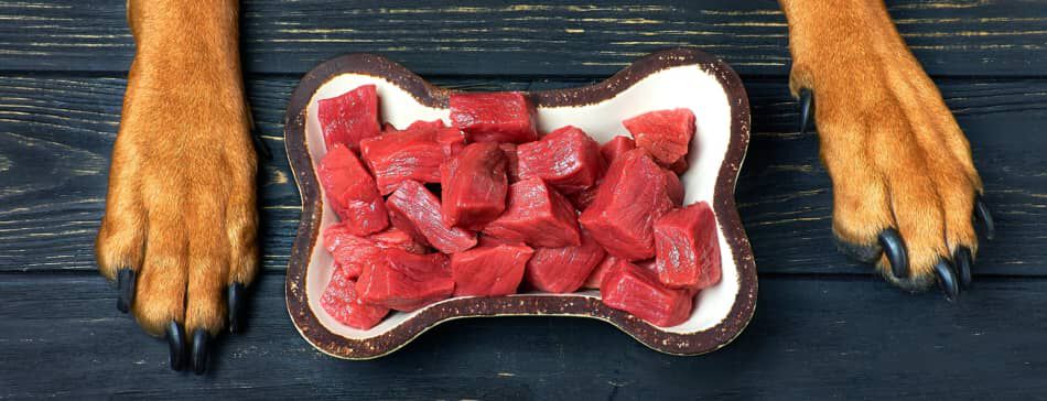 &iquest;Es buena la carne para perros?