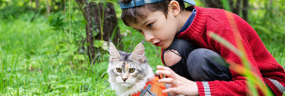 &iquest;Por qu&eacute; la convivencia entre gatos y ni&ntilde;os es beneficiosa para ambos?