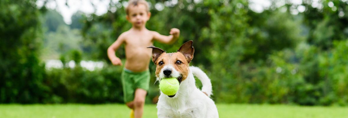 RAZAS DE PERRO PARA NI&Ntilde;OS