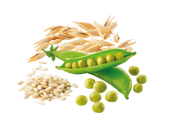 COM ARROZ INTEGRAL, AVEIA E ERVILHAS