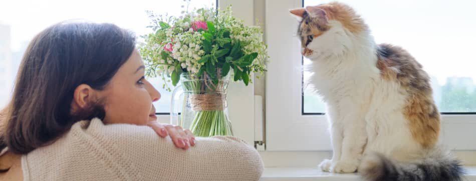 Qu&eacute; perciben los gatos en las personas: todo lo que debes saber