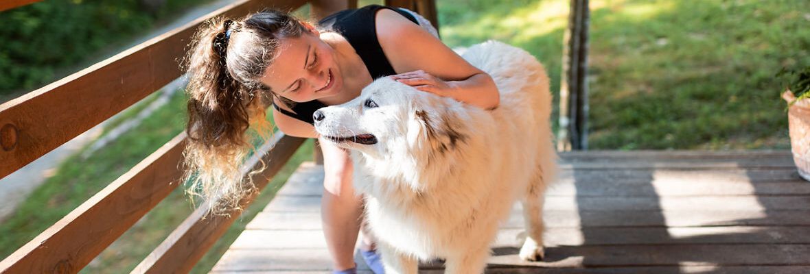 CASAS RURALES CON PERROS: DISFRUTA DE UNA ESCAPADA PERFECTA
