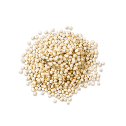 QUINOA