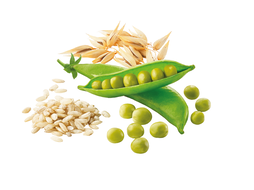 con ARROZ INTEGRAL, AVENA Y GUISANTES