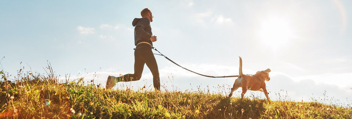 7 consejos para correr con el perro sin problemas