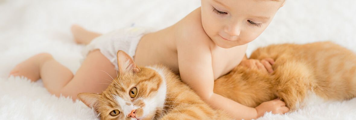 CONSEJOS PARA UNA BUENA CONVIVENCIA ENTRE GATOS Y BEB&Eacute;S