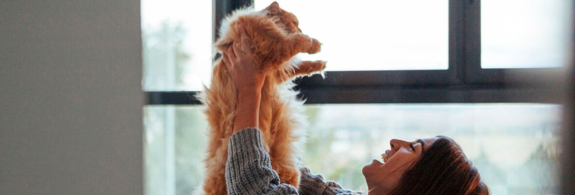 El amor por los animales cambia el mundo