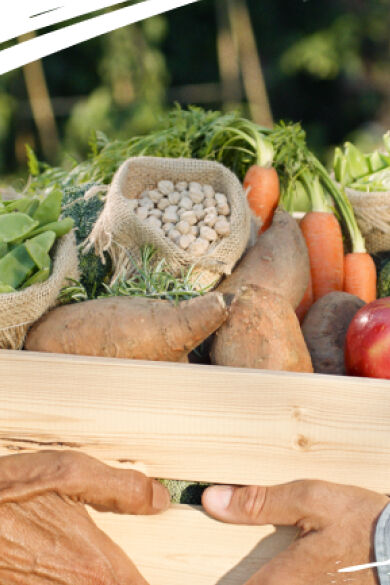 Landing Ingredientes header desktop.jpg