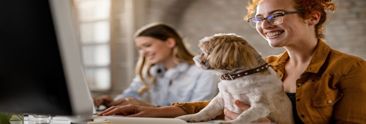Oficinas pet-friendly: &iquest;qu&eacute; son y qu&eacute; ventajas tienen?