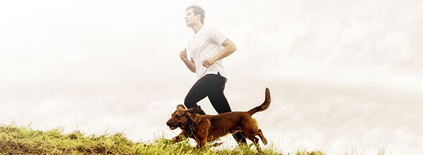 A SOCIABILIDADE DOS C&Atilde;ES