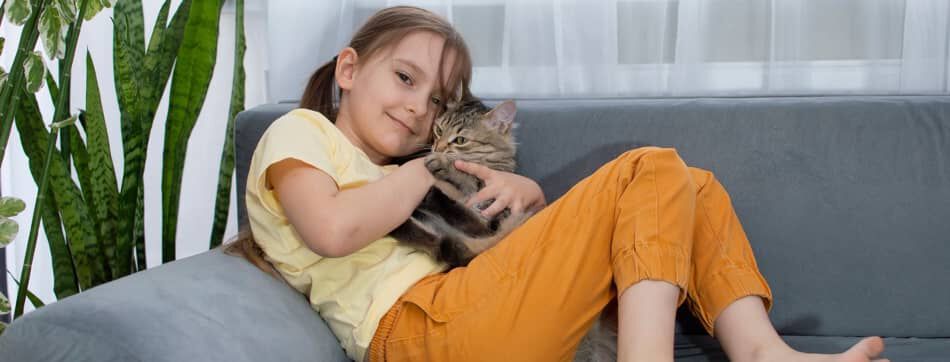 &iquest;C&oacute;mo saber si un gato te considera su madre? 9 se&ntilde;ales que debes conocer