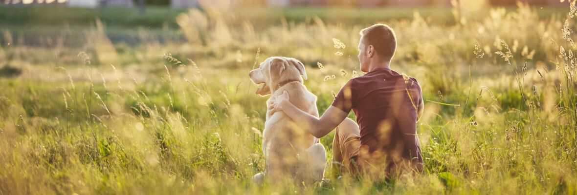 Rutas con perro: propuestas para disfrutar del buen tiempo