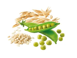 COM ARROZ INTEGRAL, AVEIA E ERVILHAS