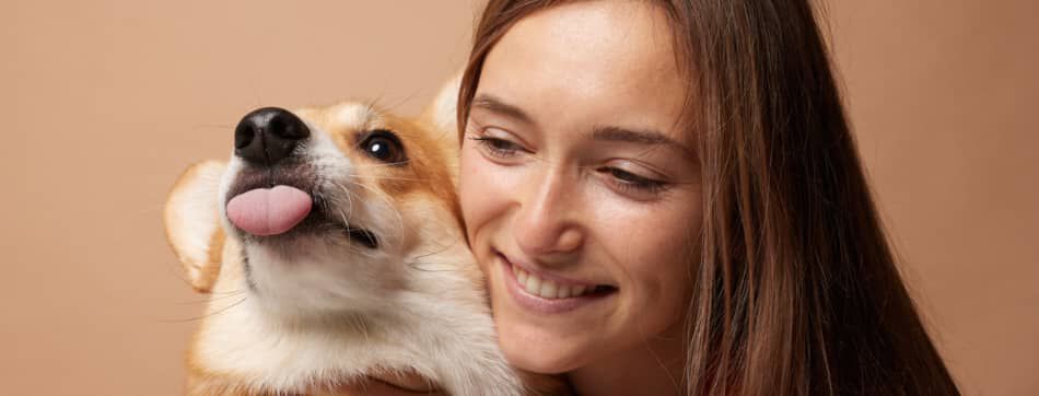 Los perros tienen sentimientos: c&oacute;mo conocer sus emociones