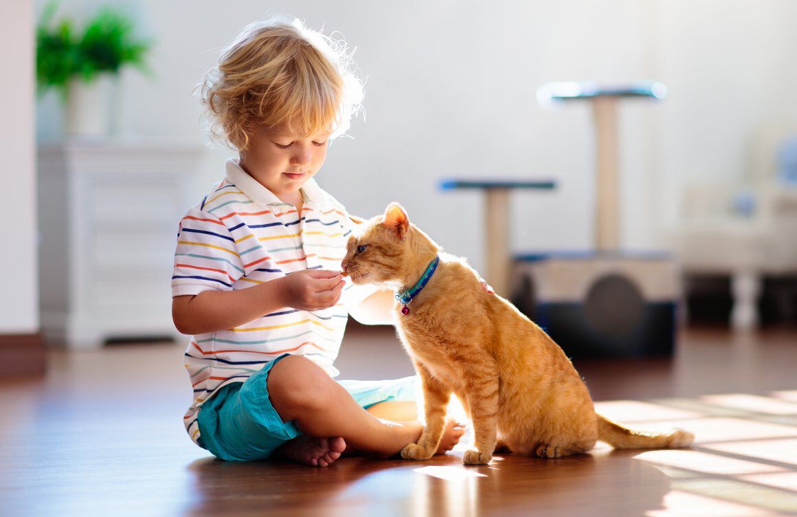 Beb&eacute;s y gatos: c&oacute;mo conseguir una convivencia beneficiosa