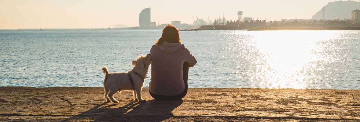 ALOJAMIENTO PARA PERROS EN BARCELONA: LISTA DE LOS MEJORES