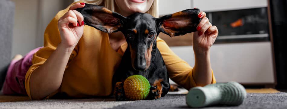 Bienvenido a casa: c&oacute;mo cuidar un cachorro