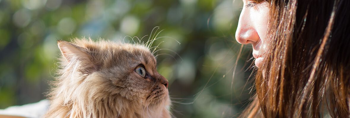 LA NATURE QUELQUE PEU INCOMPRISE DU CHAT