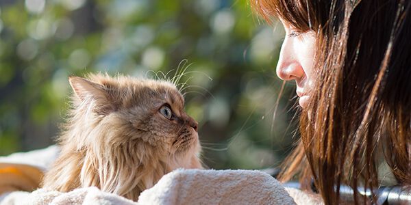 CAT&rsquo;S MISUNDERSTOOD NATURE