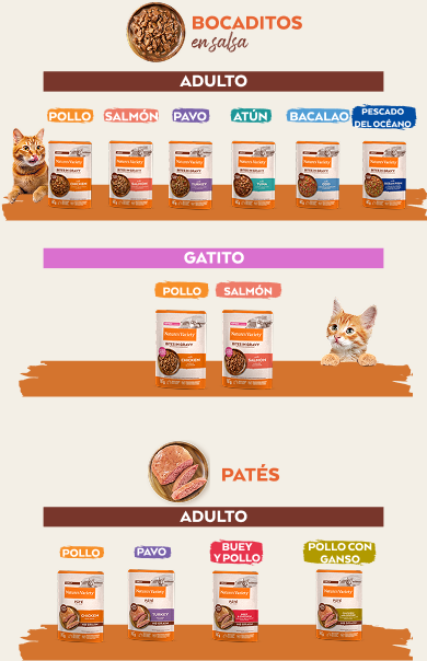 gamas comida húmeda gato