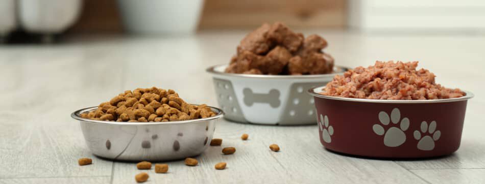 Conoce las opciones de comida del segmento natural para perros