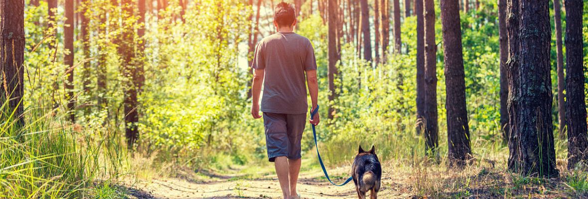 Bolsas biodegradables para perros: cuidando del medio ambiente