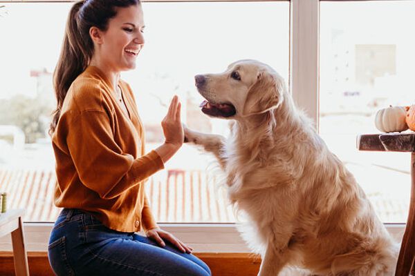 7 beneficios de tener un perro