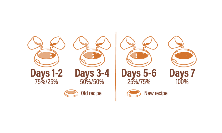 Gráfico de transición de comida para mascotas, mostrando una mezcla gradual entre la receta antigua y la nueva en un periodo de 7 días. Días 1-2: 75% receta antigua y 25% receta nueva. Días 3-4: 50% receta antigua y 50% receta nueva. Días 5-6: 25% receta antigua y 75% receta nueva. Día 7: 100% receta nueva.
