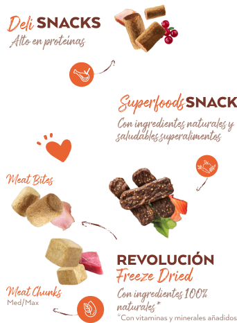Snacks naturales