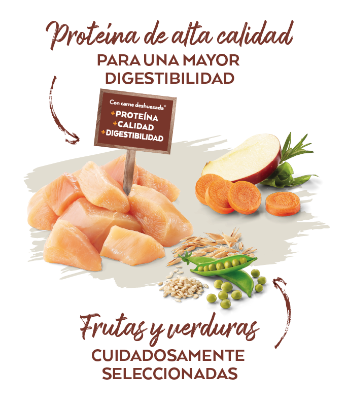 Alimentación proteína de calidad
