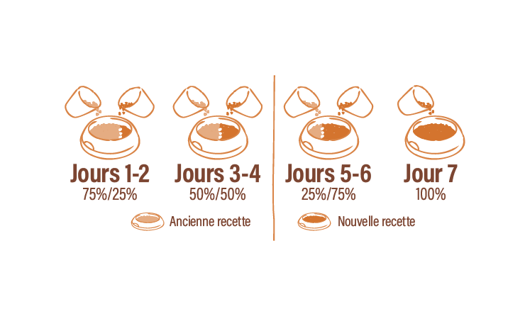 Gráfico de transición de comida para mascotas, mostrando una mezcla gradual entre la receta antigua y la nueva en un periodo de 7 días. Días 1-2: 75% receta antigua y 25% receta nueva. Días 3-4: 50% receta antigua y 50% receta nueva. Días 5-6: 25% receta antigua y 75% receta nueva. Día 7: 100% receta nueva.