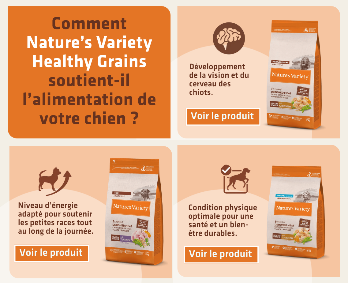 Banner productos gato