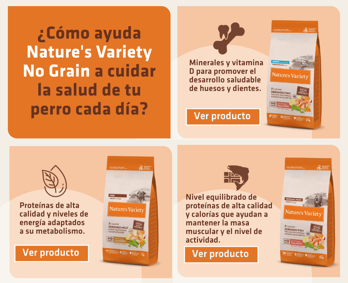Banner productos gato