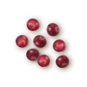 AR&Aacute;NDANOS ROJOS