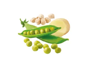 CON PISELLI, CECI E PATATA