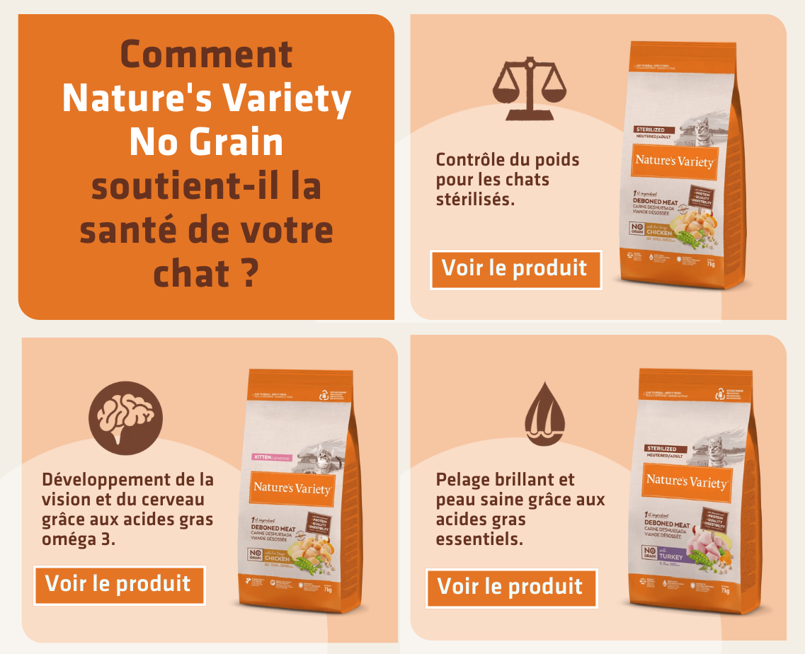 Banner productos gato