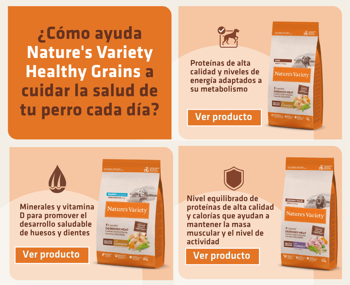 Banner productos gato