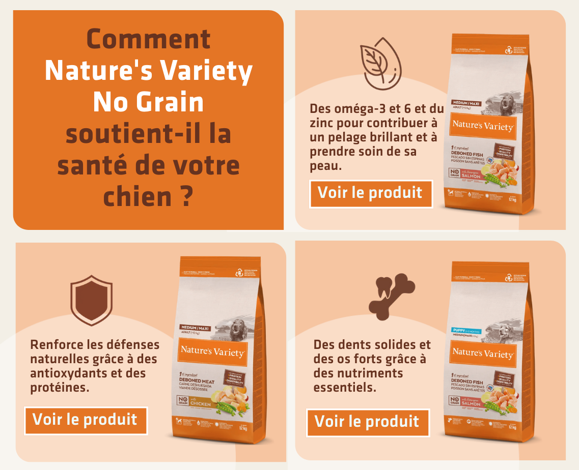 Banner productos gato