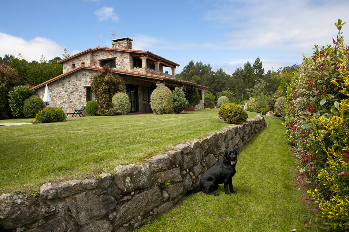 elegir casas rurales con perro