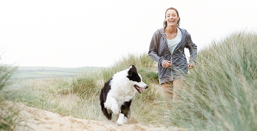 Los perros ven en blanco y negro