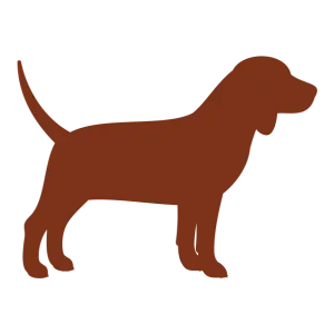 For medium/maxi adult