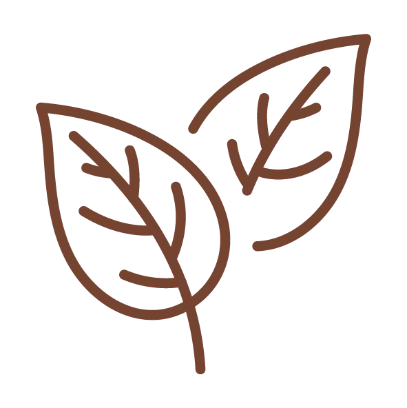 ingredientes 100% naturais com vitaminas e minerais adicionados