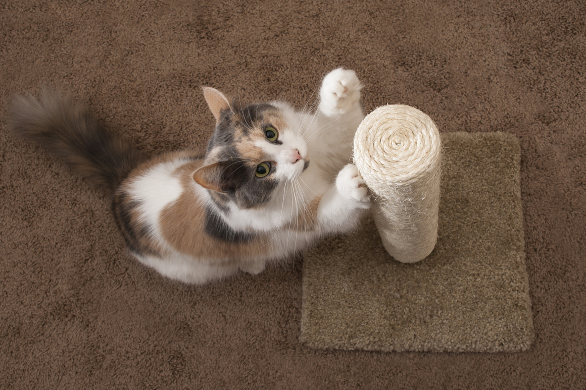 rascadores gatos caseros