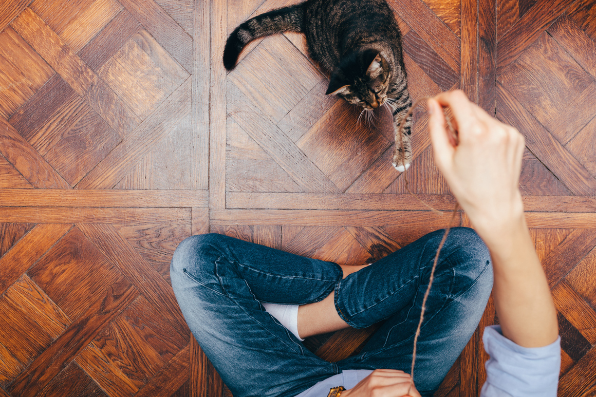 Giochi per gatti fatti in casa